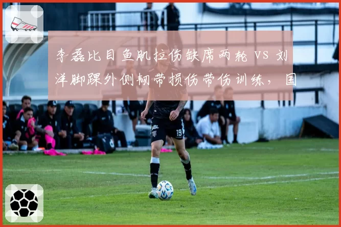 李磊比目鱼肌拉伤缺席两轮 vs 刘洋脚踝外侧韧带损伤带伤训练,国足左后卫位置遭遇双重打击