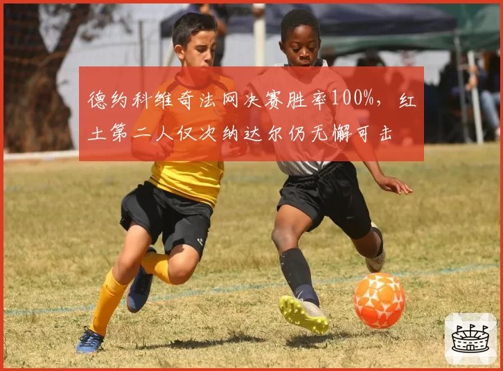 德约科维奇法网决赛胜率100%,红土第二人仅次纳达尔仍无懈可击