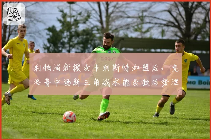 利物浦新援麦卡利斯特加盟后，克洛普中场新三角战术能否激活努涅斯？