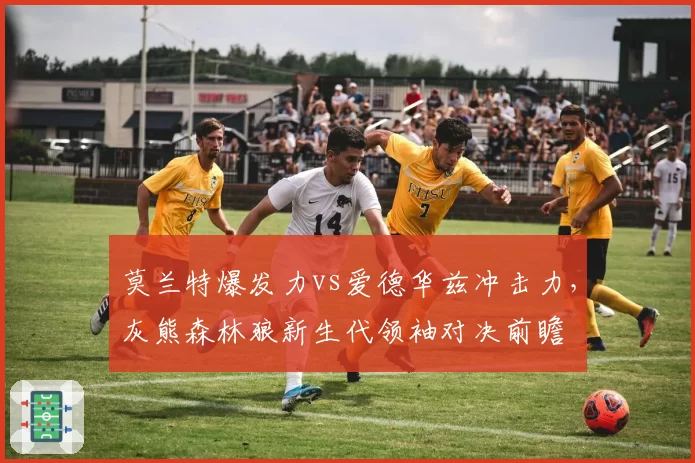 莫兰特爆发力vs爱德华兹冲击力，灰熊森林狼新生代领袖对决前瞻